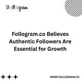Follogram.co Believes Authentic Followers Are Essential for Growth