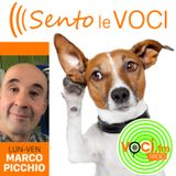 SENTO LE VOCI con Marco Picchio (Puntata 105 del 21-06-2021)
