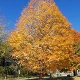 The Word Manifested - SPIRITWARS