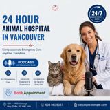 24 Hour Animal Hospital in Vancouver for Urgent Pet Care