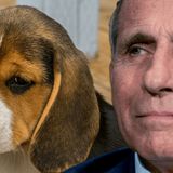 Dr Fauci Exposed Conspiracy Podcast | Cruel Animal Treatment