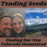 Ep 45 - Finding Our Colorado Homestead