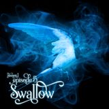 S1E5: Swallow