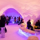 Why Pure Michigan LOVES snow (Jan. 24-25, 2026)