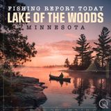 Lake of the Woods Walleye Bite Remains Strong Despite Challenging Conditions