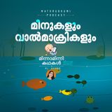 മീനുകളും വാൽമാക്രികളും | മിന്നാമിന്നിക്കഥകൾ | Bedtime Stories