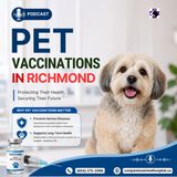 Pet Vaccinations in Richmond for Healthy, Happy Pets
