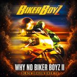 Why No Biker Boyz II – Slow at the Light – Smoke’s Hayabusa – Cat Tree Thanks