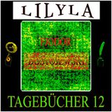 Tagebücher 12 Hörbuch von Fjodor M. Dostojewski