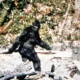 #177 Pie Grande - Miedo al Misterio