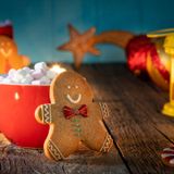 Paranormal Christmas - Spooky & Sweet 😋