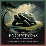 The Encantadas: Life and Symbolism in the Galápagos | Section 6: Sketch Sixth