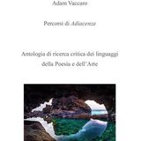 Adam Vaccaro "Percorsi di Adiacenza"