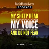 My Sheep Hear My Voice And Do Not Fear