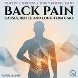 Back Pain - The First 72 Hours and Beyond: A Relief Playbook for Acute Strain