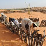 Problèmes d’insalubrité, de dégradation des terres et de désertification à Karakara (Le Niger sur kalangou)