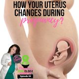How Does The Pregnant Uterus Change? Pregnancy Pukeology Podcast EP. 84