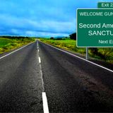 REBELLION: Second Amendment Sanctuary Cities, Counties, and STATES Spring Up Across the Country +