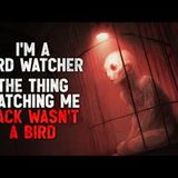 "I’m a Bird Watcher. But the Thing Watching Me Back in the Trees Wasn’t a Bird." Creepypasta