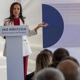 Prensa económica: La curva del pato, la maldición que persigue a Red Eléctrica