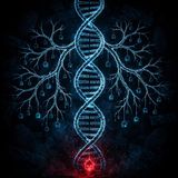 S2 E6: The Family Tree