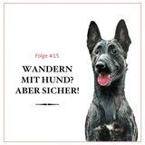 Wandern mit Hund? Aber sicher! - #15