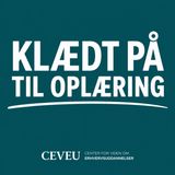 Introduktion til VFU