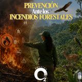 NUESTRO OXÍGENO Prevención ante los incendios forestales