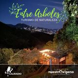 NUESTRO OXÍGENO Entre arboles - Gabriel Antonio Martínez