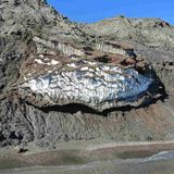 El Deshielo del Permafrost #documental #ciencia #CambioClimatico #podcast