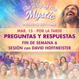 El Camino del Místico, Celebraciones de fin de Semana 6 - Sesión de preguntas y respuestas con David Hoffmeister