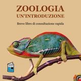 Zoologia: l'ingegneria evolutiva delle specie animali