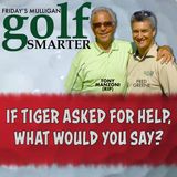 If Tiger Asked Tony Manzoni for Help, What Would He Say?