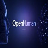 OpenHuman- l'AI open source che ricorda tutto di te e gira sul tuo PC