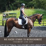 Nie każde stanie to Nieruchomość - fragment live 223