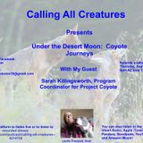 Calling All Creatures Presents Under the Desert Moon: Coyote Journeys