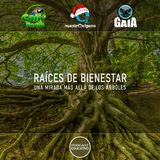 NUESTRO OXÍGENO Raíces de bienestar, una mirada más allá de los árboles