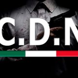 Ascesa e metamorfosi del Cártel del Noreste