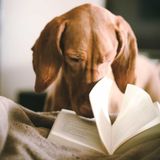 Saber leer no ocupa lugar