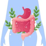 Microbioma ed enterotipi: un universo invisibile