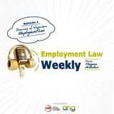 Sources Of Nigerian Employment Law