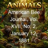 American Bee Journal Vol XVII No 2 January 12 1881 - Various