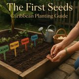 The First Seeds — What to Plant and When in the Caribbean