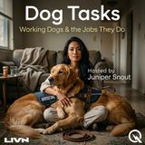Dog Tasks - Doors, Lights, and Laundry: The Mechanics of Training Mobility Assistance Dogs