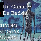 CUATRO HISTORIAS RANDOM | Un Canal de Reddit