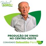 Do Cerrado à taça: como são produzidos os vinhos no Centro-Oeste? #375