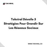Tokviral Dévoile 5 Stratégies Pour Grandir Sur Les Réseaux Sociaux