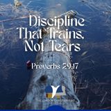 Discipline That Trains, Not Tears
