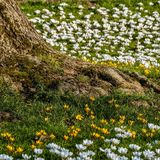 La gestione sana delle foreste riduce di otto volte l'erosione del suolo