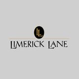 Limerick Lane - Jake Bilbro